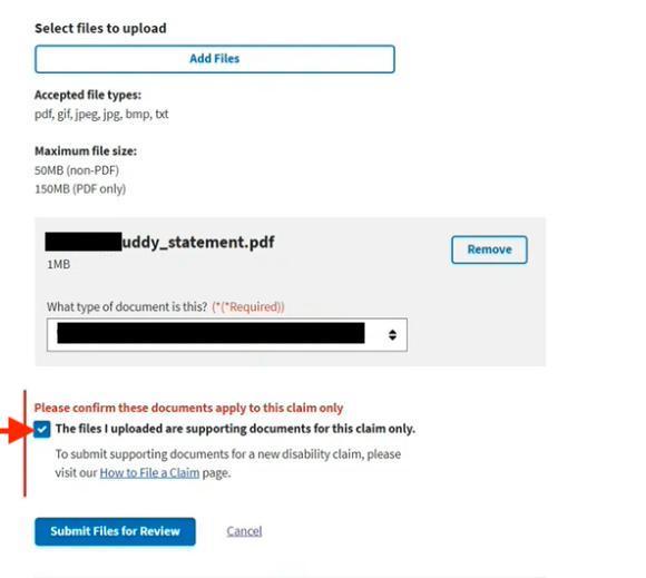 The Status Details page, showing a file ready for uploading and the 'documents for this claim only' checkbox